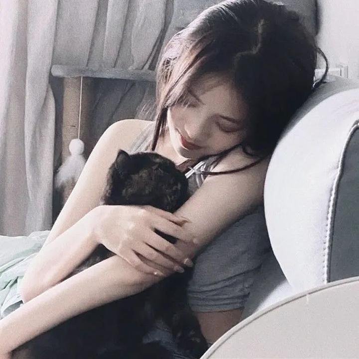 新包青天之蝶杀