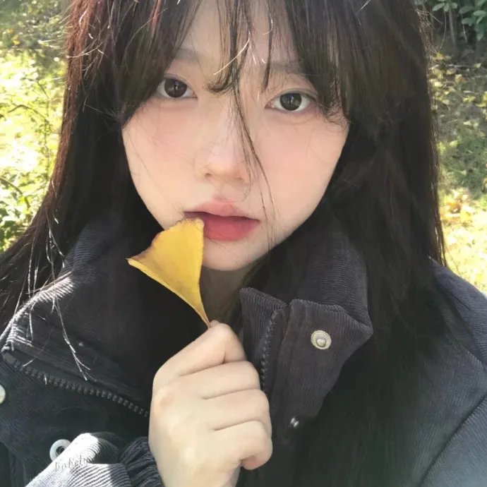 芭比之森林公主